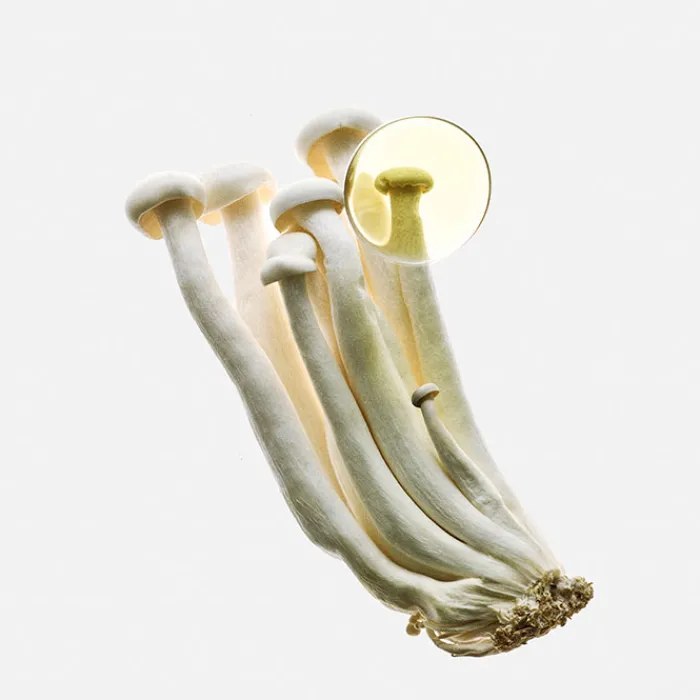 Mujer LOEWE EARTH ELIXIR