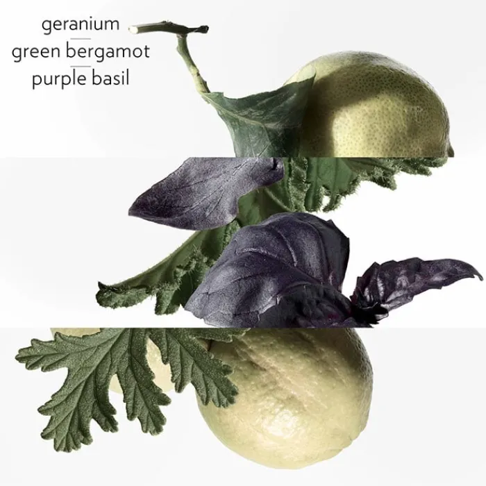 Mujer HERMÈS Eau de Basilic Pourpre