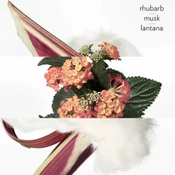 Mujer HERMÈS Eau de Rhubarbe Écarlate