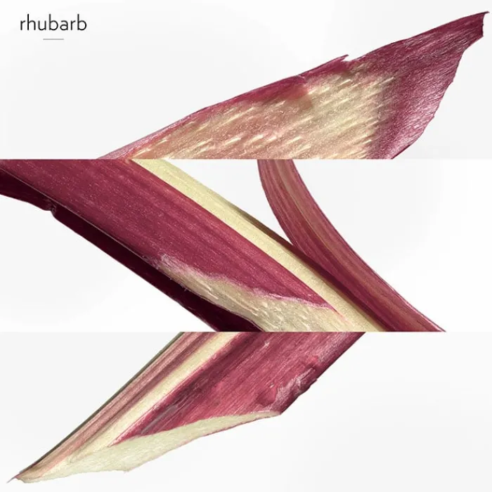 Mujer HERMÈS Eau de Rhubarbe Écarlate