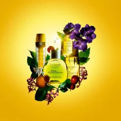 Mujer CLARINS Eau Extraordinaire