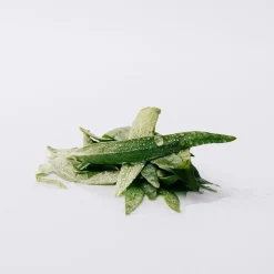 Hombre LOEWE ESENCIA EDP