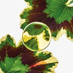 Hombre LOEWE ESENCIA ELIXIR