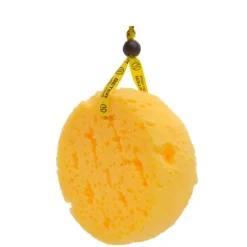 Beter Esponja de Espuma Coffee o Clock