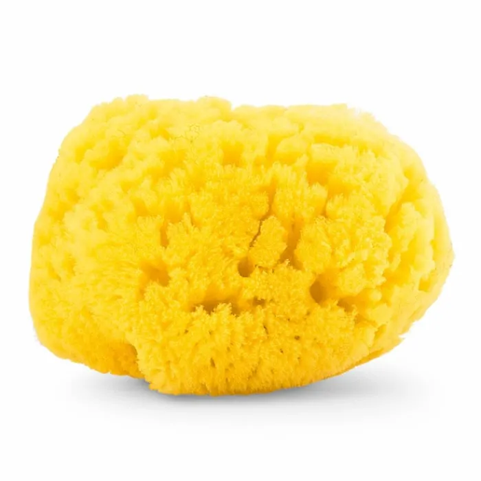 Chicco Esponja Marina Natural