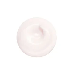 SHISEIDO Essential Energy Hydrating Cream