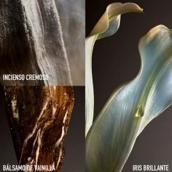 Mujer RABANNE FAME THE COUTURE EDITION