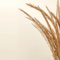 Avena Kinesia Gel Emoliente Avena Sin Jabón