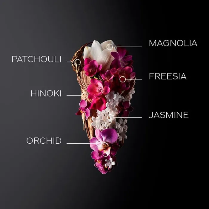 Mujer SHISEIDO GINZA