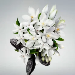 CAROLINA HERRERA GOOD GIRL Body Cream