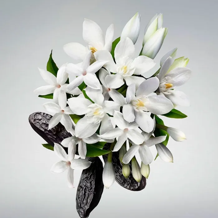 CAROLINA HERRERA GOOD GIRL Body Cream