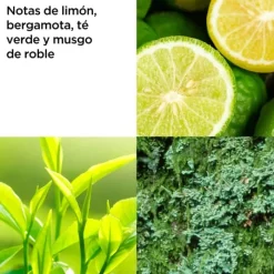 ELIZABETH ARDEN Green Tea Gel de Ducha