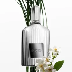 Hombre TOM FORD Grey Vetiver Parfum