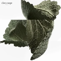 Hombre HERMÈS H24 EDP