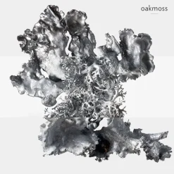 Hombre HERMÈS H24 EDP