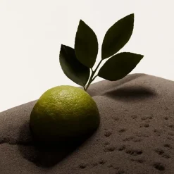 Hombre BURBERRY HERO