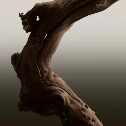 Hombre BURBERRY HERO PARFUM