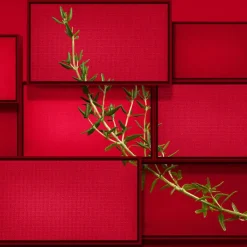 Hombre HUGO BOSS HUGO INTENSE