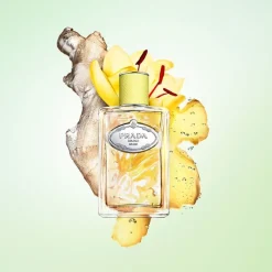 Mujer PRADA Infusion de Gimgembre