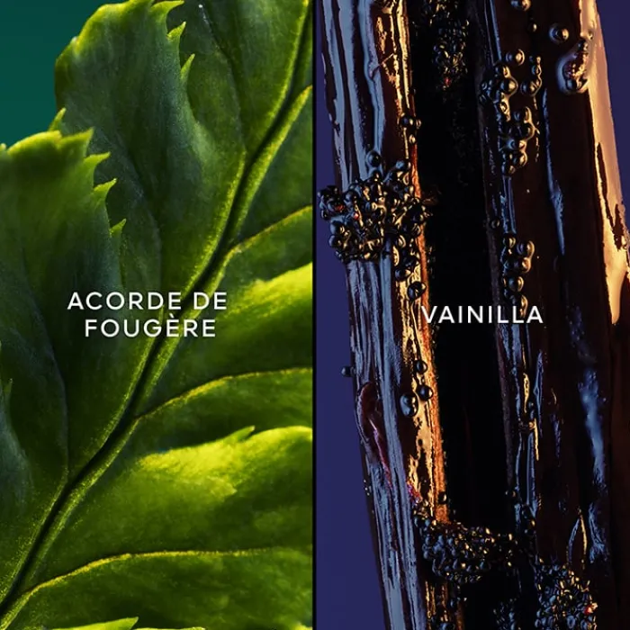 Mujer GUERLAIN Jicky EDP