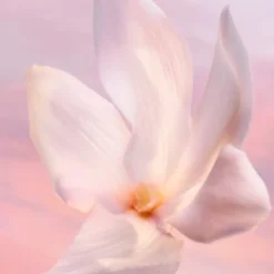 Mujer LANCÔME LA VIE EST BELLE VANILLE NUDE