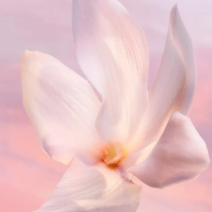 Mujer LANCÔME LA VIE EST BELLE VANILLE NUDE