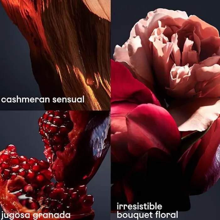 Mujer RABANNE LADY MILLION ROYAL