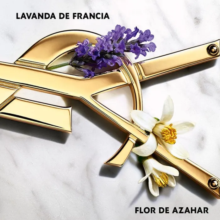 Mujer YVES SAINT LAURENT LIBRE