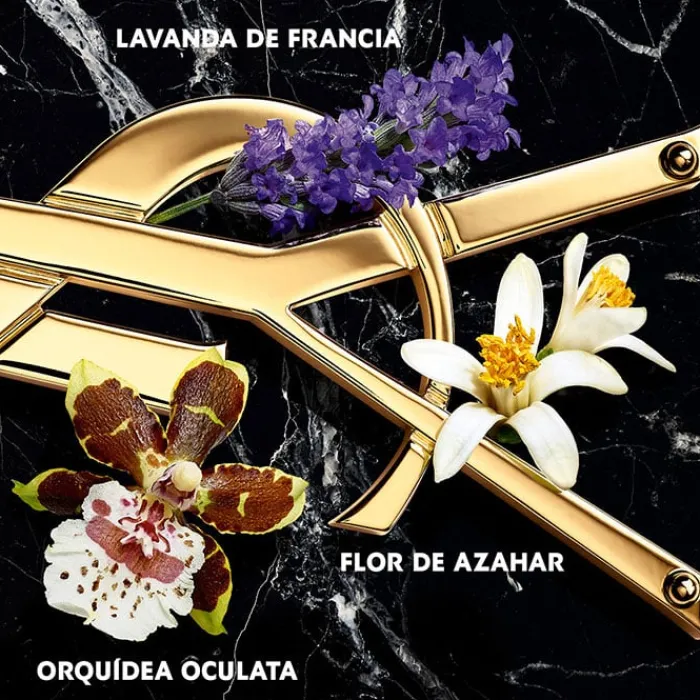 Mujer YVES SAINT LAURENT LIBRE INTENSE