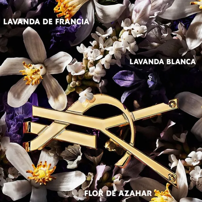 Mujer YVES SAINT LAURENT LIBRE L'ABSOLU PLATINE