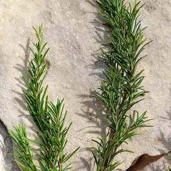 Hombre DOLCE & GABBANA LIGHT BLUE Pour Homme