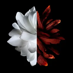 Mujer GIVENCHY L'Interdit Rouge