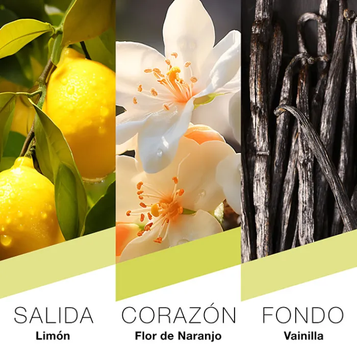 Mujer Prêt à Porter Milano