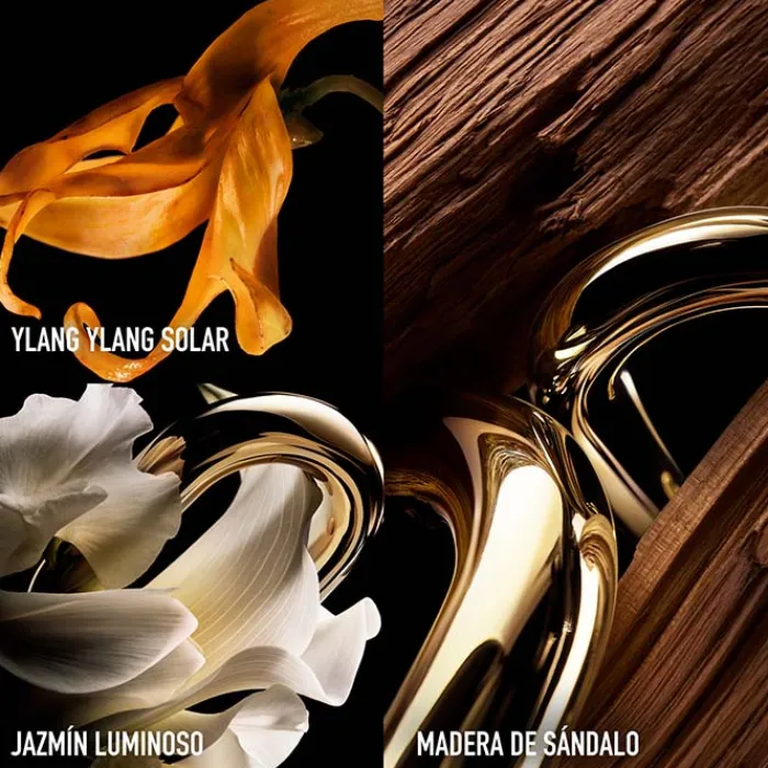 Mujer RABANNE MILLION GOLD FOR HER PARFUM