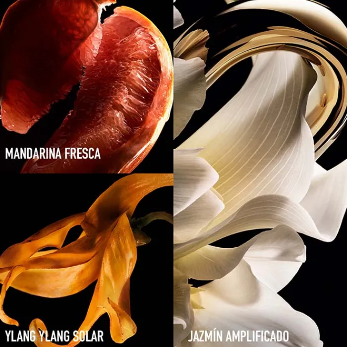 Mujer RABANNE MILLION GOLD FOR HER PURE JASMINE