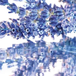 Mujer GUERLAIN Mon EDP Estuche