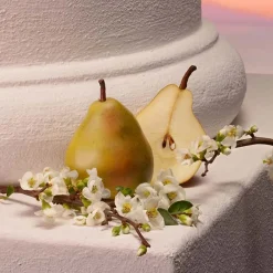 Mujer DOLCE & GABBANA MY DEVOTION