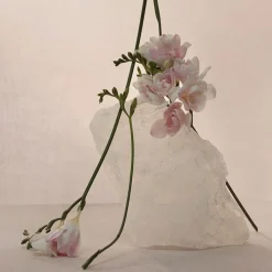 Mujer ADOLFO DOMÍNGUEZ Nude Musk