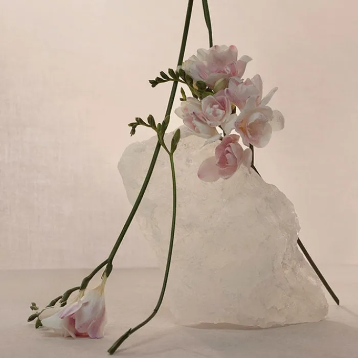 Mujer ADOLFO DOMÍNGUEZ Nude Musk