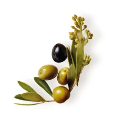 Original Remedies Oliva Mítica Champú Nutrición Extrema