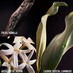 Mujer RABANNE OLYMPEA PARFUM