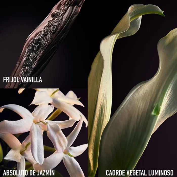 Mujer RABANNE OLYMPEA PARFUM