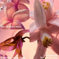 Mujer RABANNE OLYMPEA SOLAR