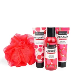 IDC Institute Organic Red Fruit Estuche