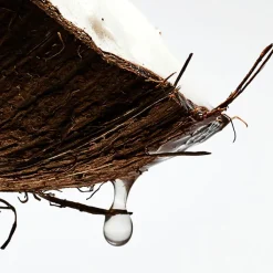 Mujer LOEWE PAULA'S IBIZA