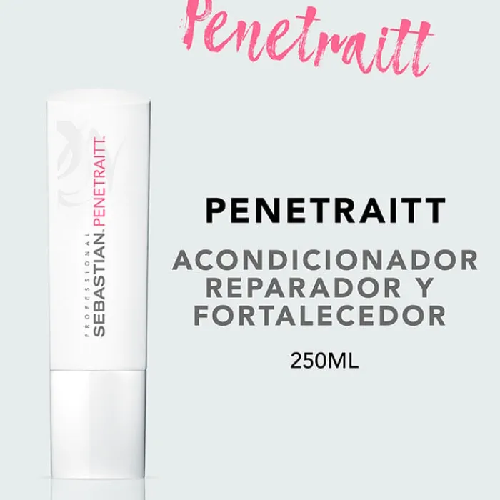 Sebastian Professional Penetraitt Conditioner