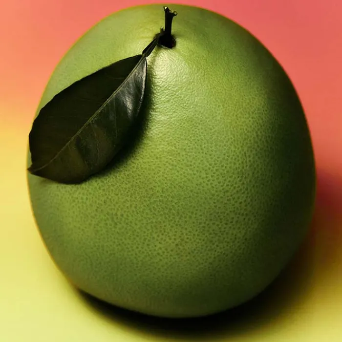 Hombre ADOLFO DOMÍNGUEZ Pomelo Man