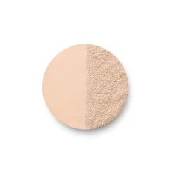 BOURJOIS Poudre Always Fabulous SPF20