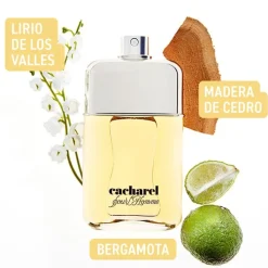 Hombre CACHAREL POUR HOMME