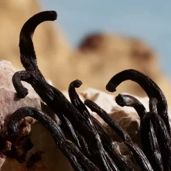 Mujer DOLCE & GABBANA Q BY PARFUM